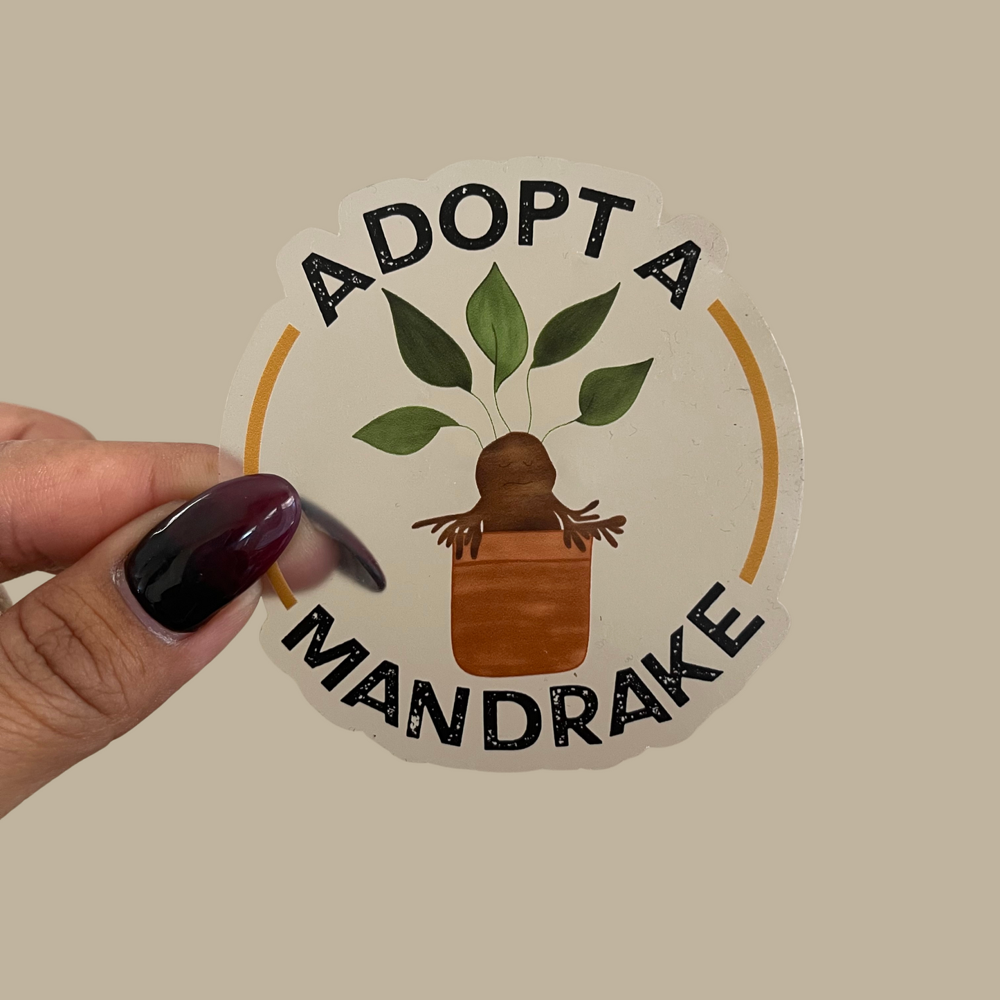 Adopt a Mandrake Clear Sticker